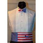 Democratic Cummerbund and Bow Tie Set